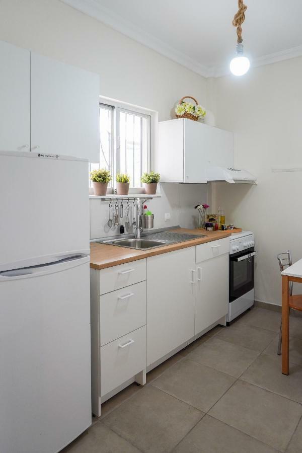 Appartement Isminis House à PalaiónTsiflíkion Extérieur photo